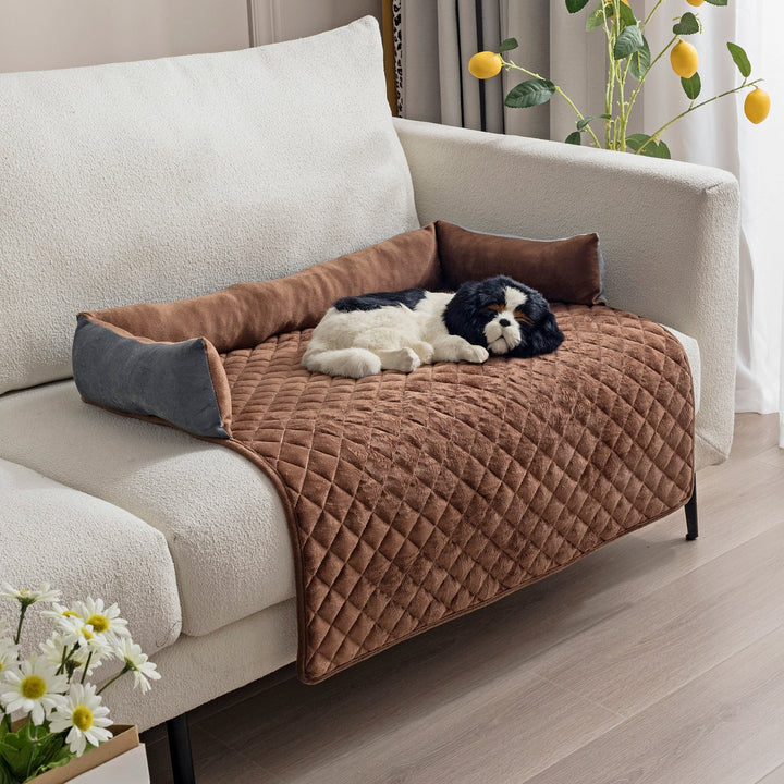 Transform Your Pet's Comfort with the Perfect Sofa Bed!