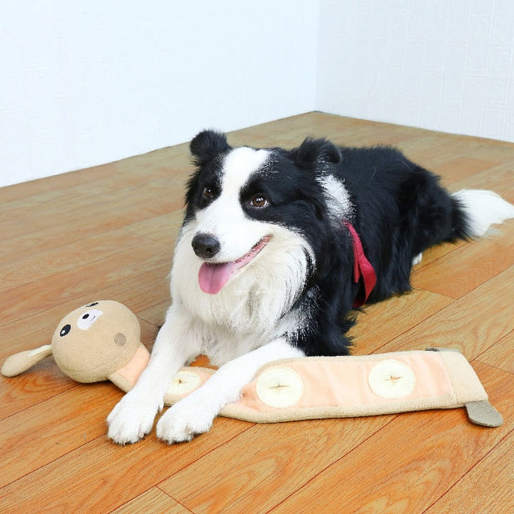 Discover the Joy of Playtime with Our Dogs Sniff Toys!