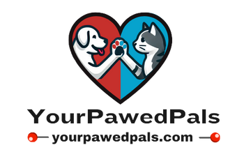 Your Pawed Pals